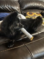 🚬 Cigarette Shaped Squeaky Dog Toy Set