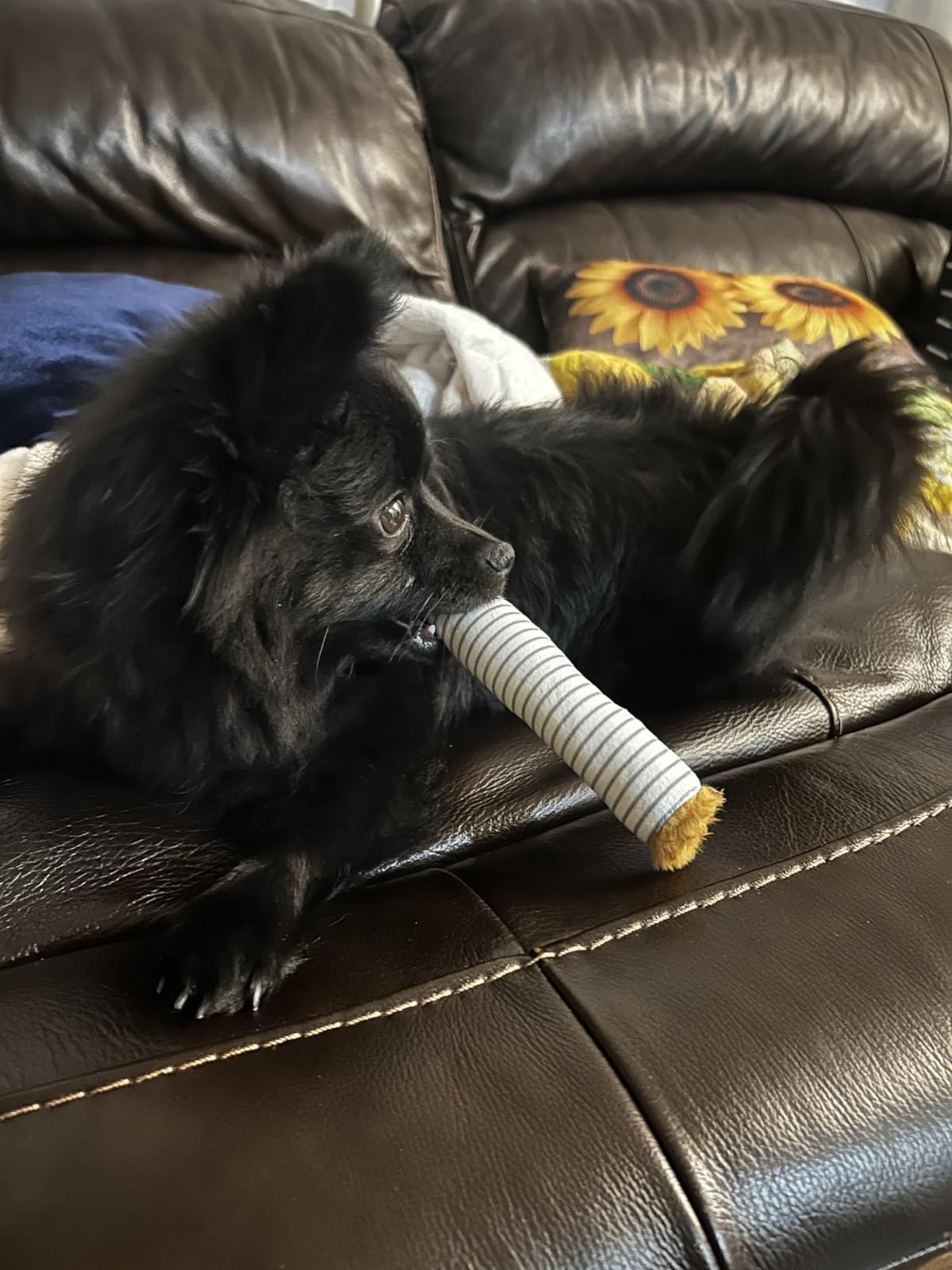 🚬 Cigarette Shaped Squeaky Dog Toy Set