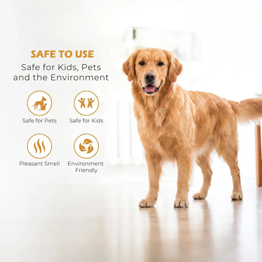Ultimate Floor Shine Restorer